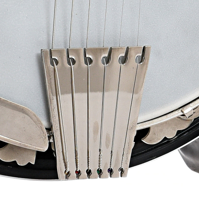 Tailpiece of Deering Boston 6 A/E Banjo-Guitar (2012)