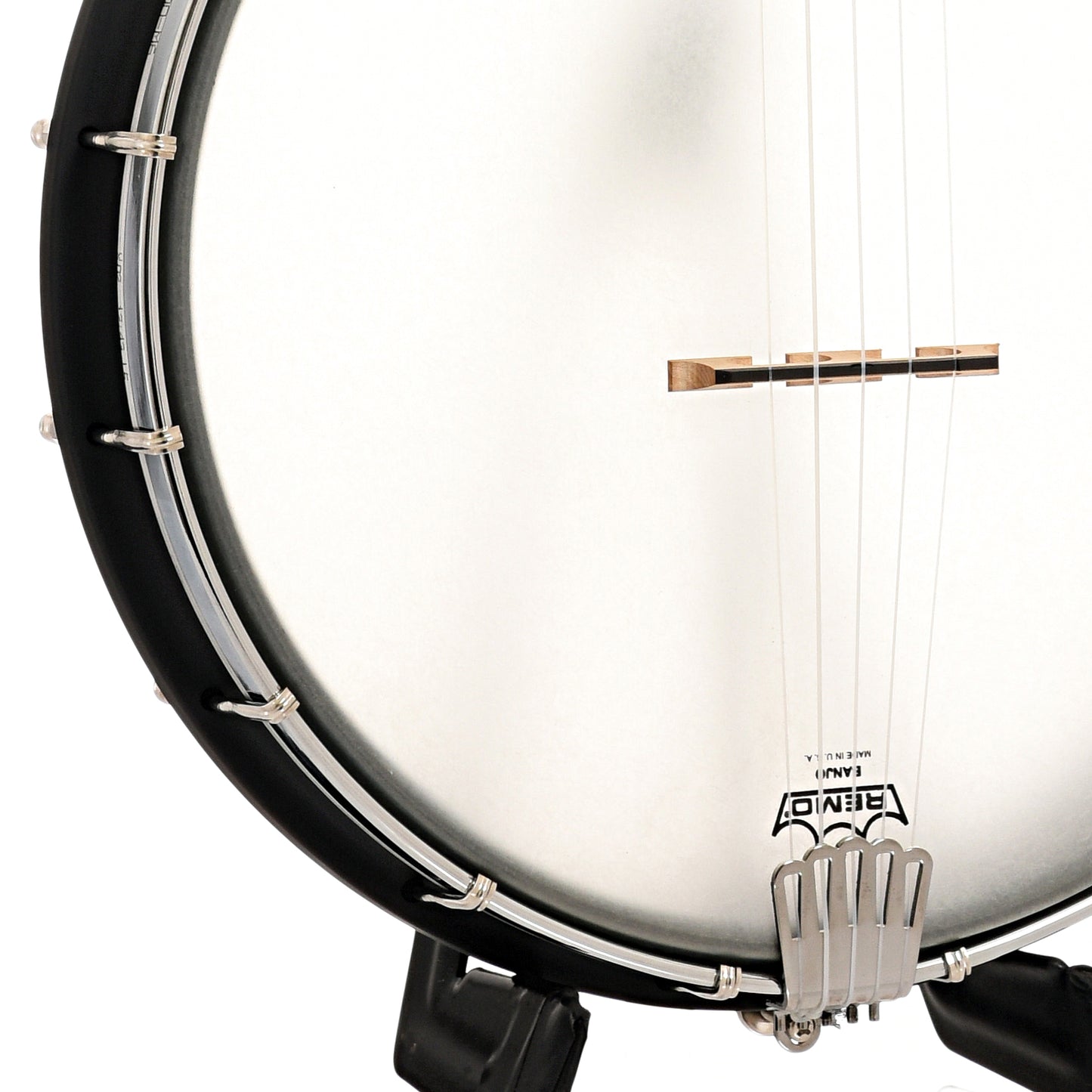 Tailpiece and bridge of Gold Tone AC-12FL 12" Fretless Openback Banjo 