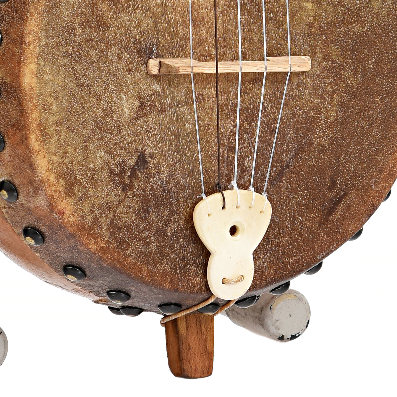 Tailpiece and bridge of Menzies Fretless Gourd Banjo #579