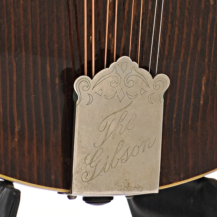 Tailpiece of 1921 Gibson H-1 Mandola 