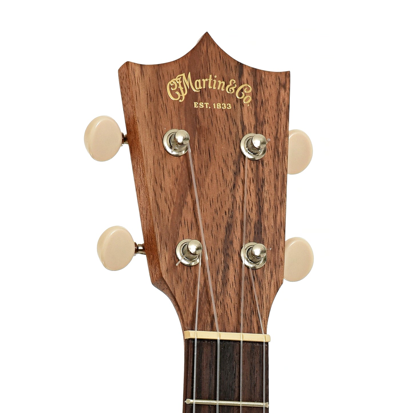 Headstock of Martin T-1K Tenor Ukulele 