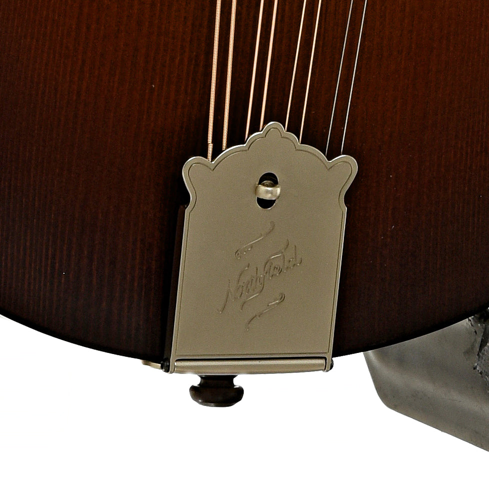 Tailpiece of Northfield NFO-AT3 Wavelength Octave Mandolin