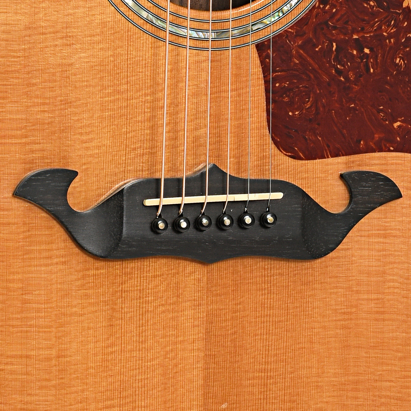 Bridge of Taylor 815C Acoustic Guitar (1995)