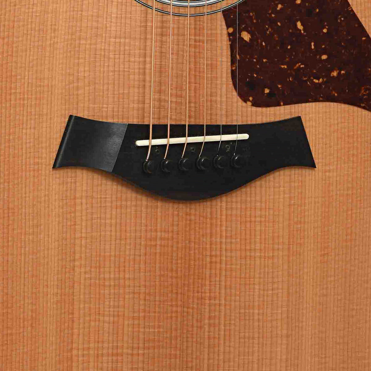 Bridge of Taylor 414ce-R VClass Acoustic-Electric Guitar