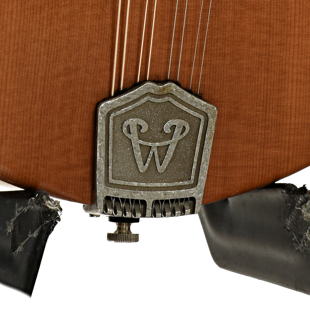 Tailpiece of Weber Hyalite Mandolin 