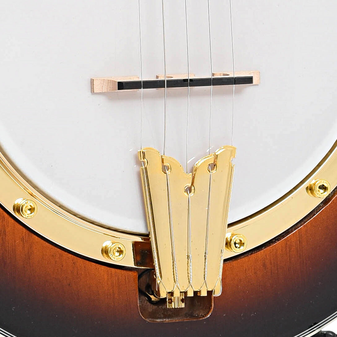 Tailpiece and bridge of Gold Tone EBM-5 Electric 5-String Banjo (recent)