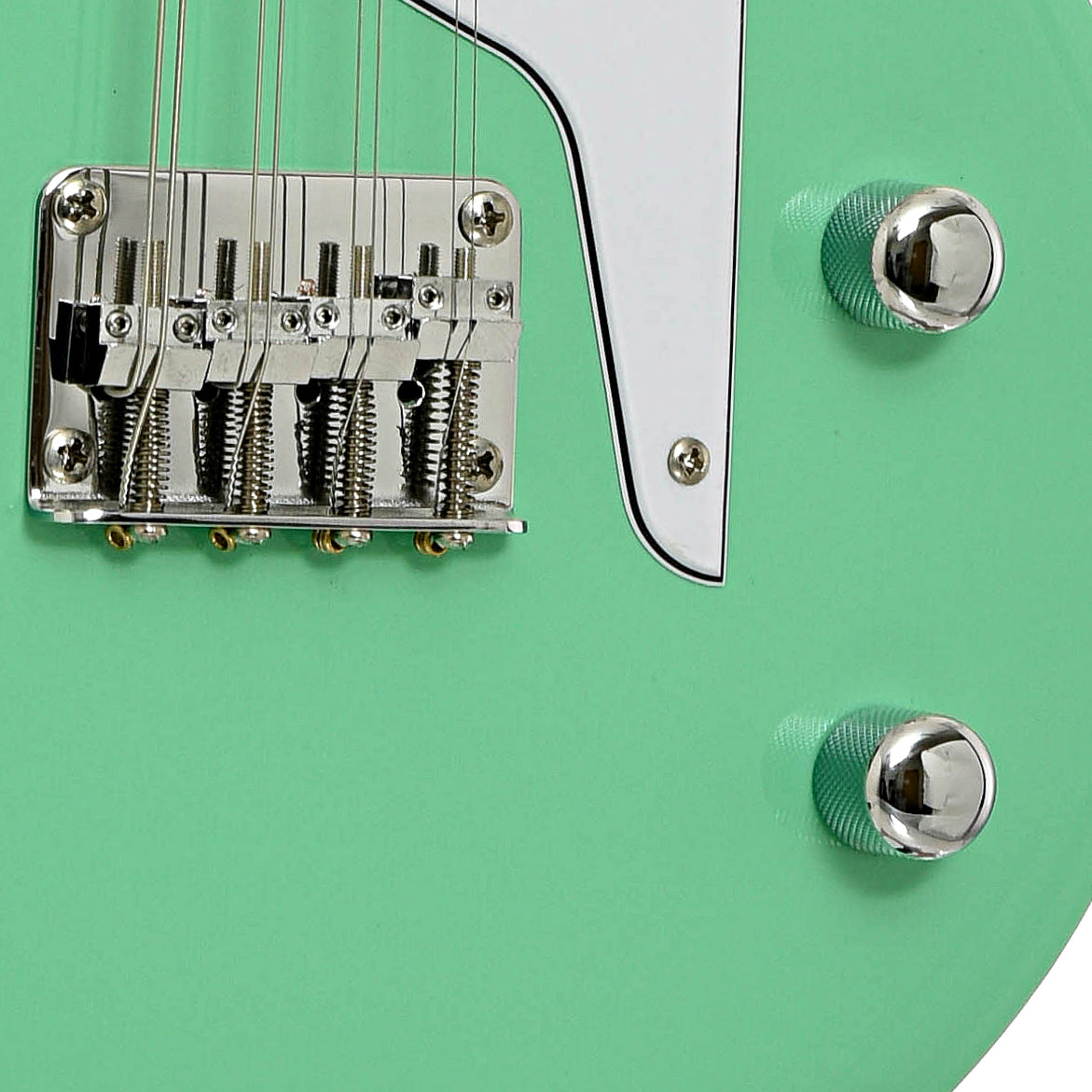 Bridge and controls of Airline Map Electric Mandola 