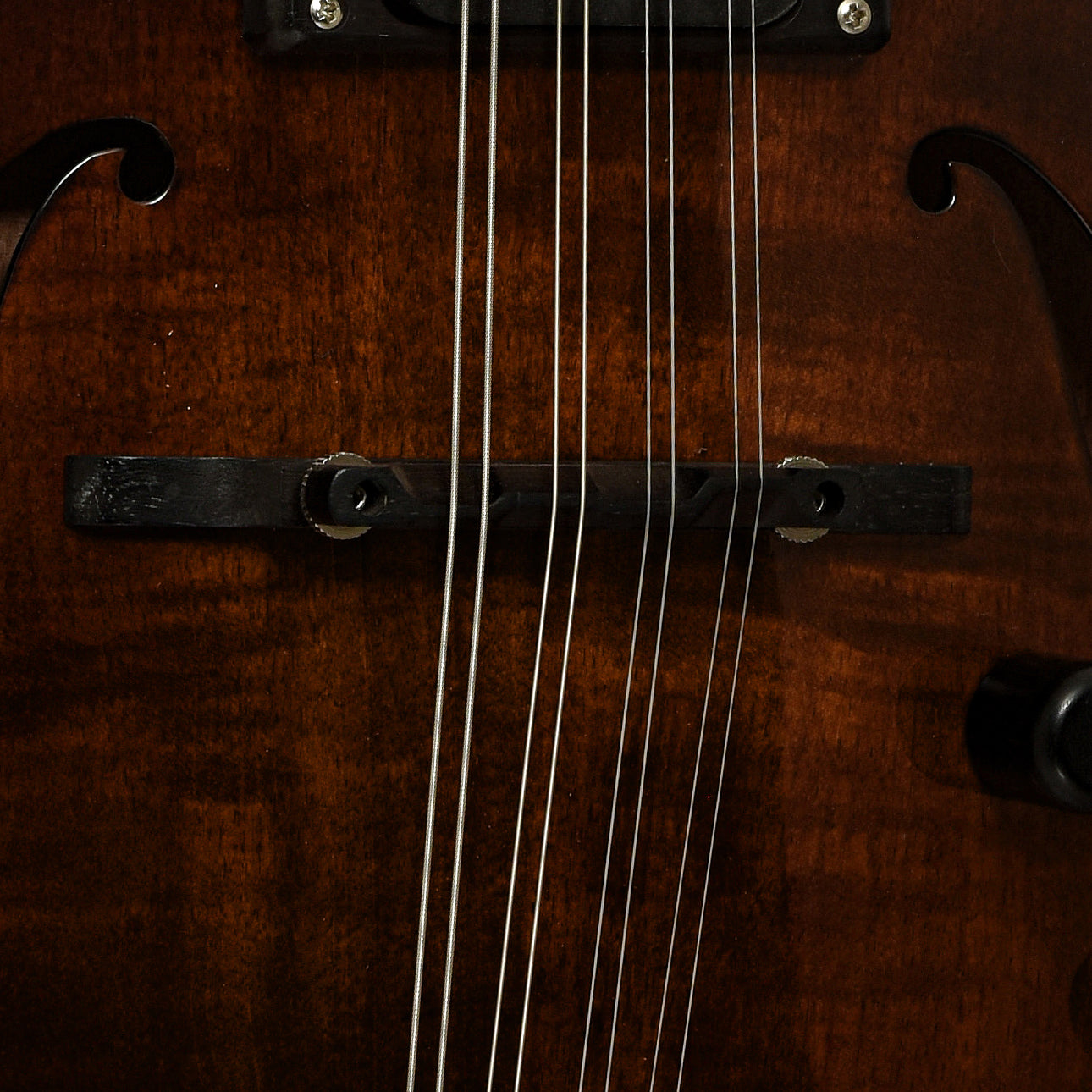 Bridge of Eastman ER-M El Rey Electric Mandolin 