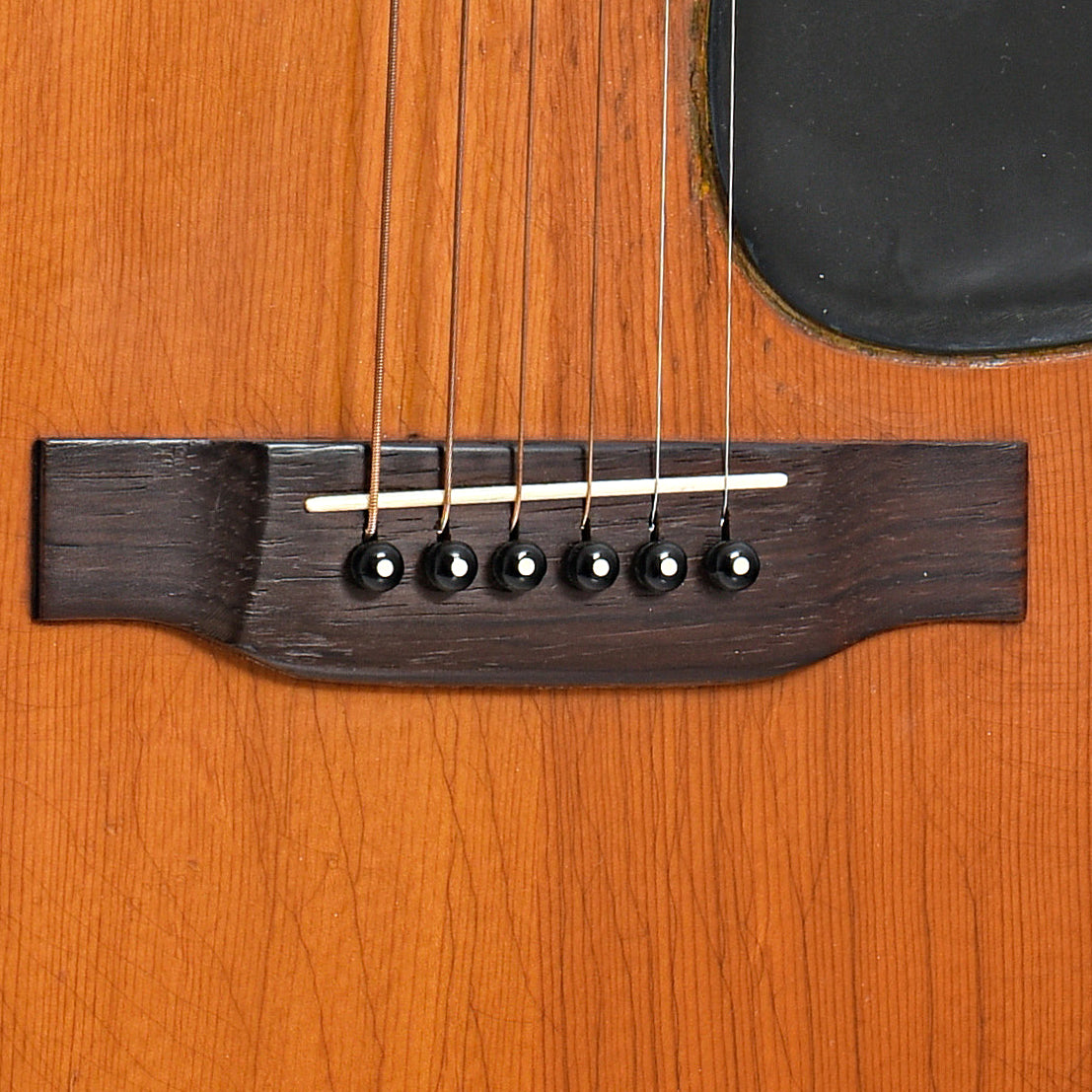 Bridge of Martin D-21 Acoustic Guitar (1968)