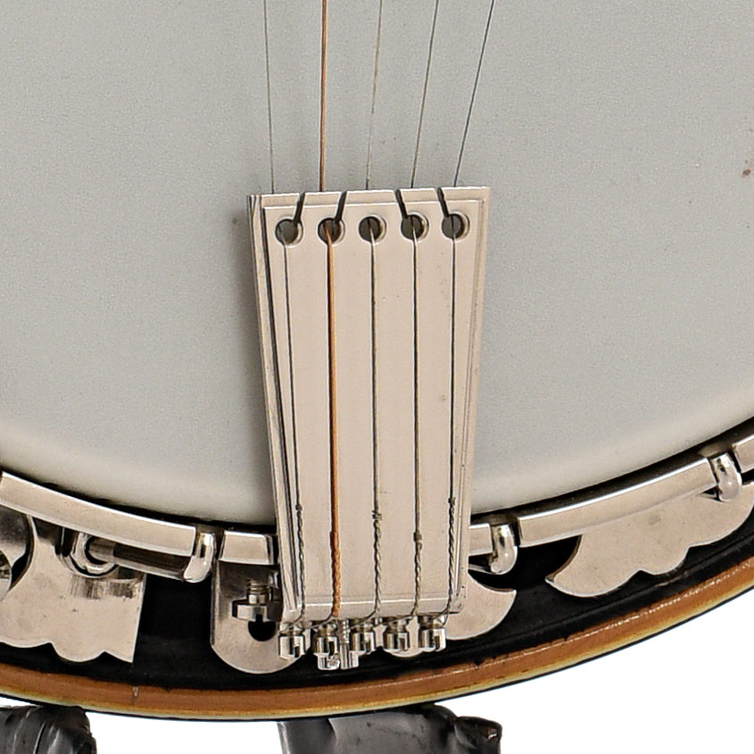 Tailpiece of Wildwood Artist Resonator Banjo (c.1985)