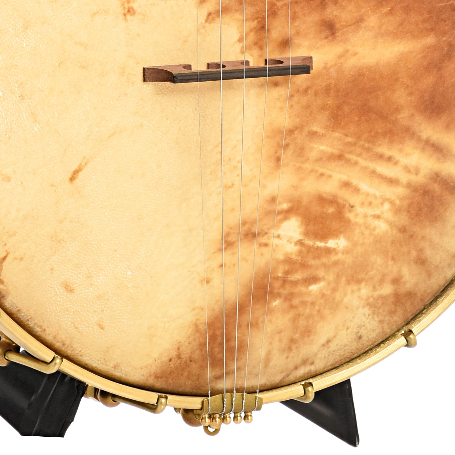 Tailpiece and bridge of Ozark Banjo Co Man in the Moon Openback Banjo, Cherry, 12" Rim, Whyte Laydie
