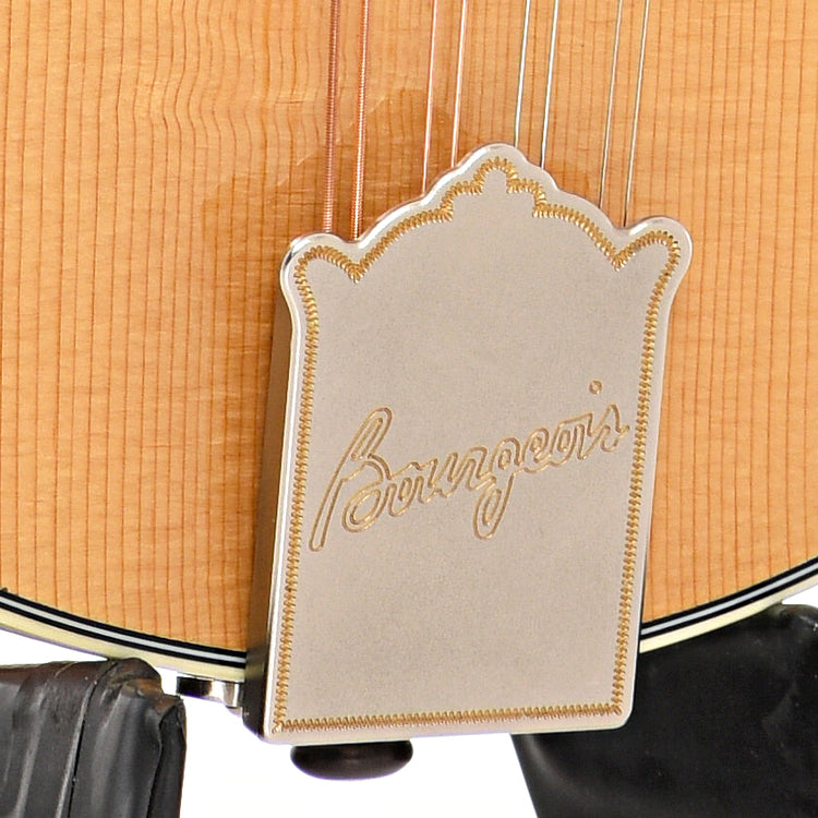 Tailpiece of Bourgeois M5A Mandolin