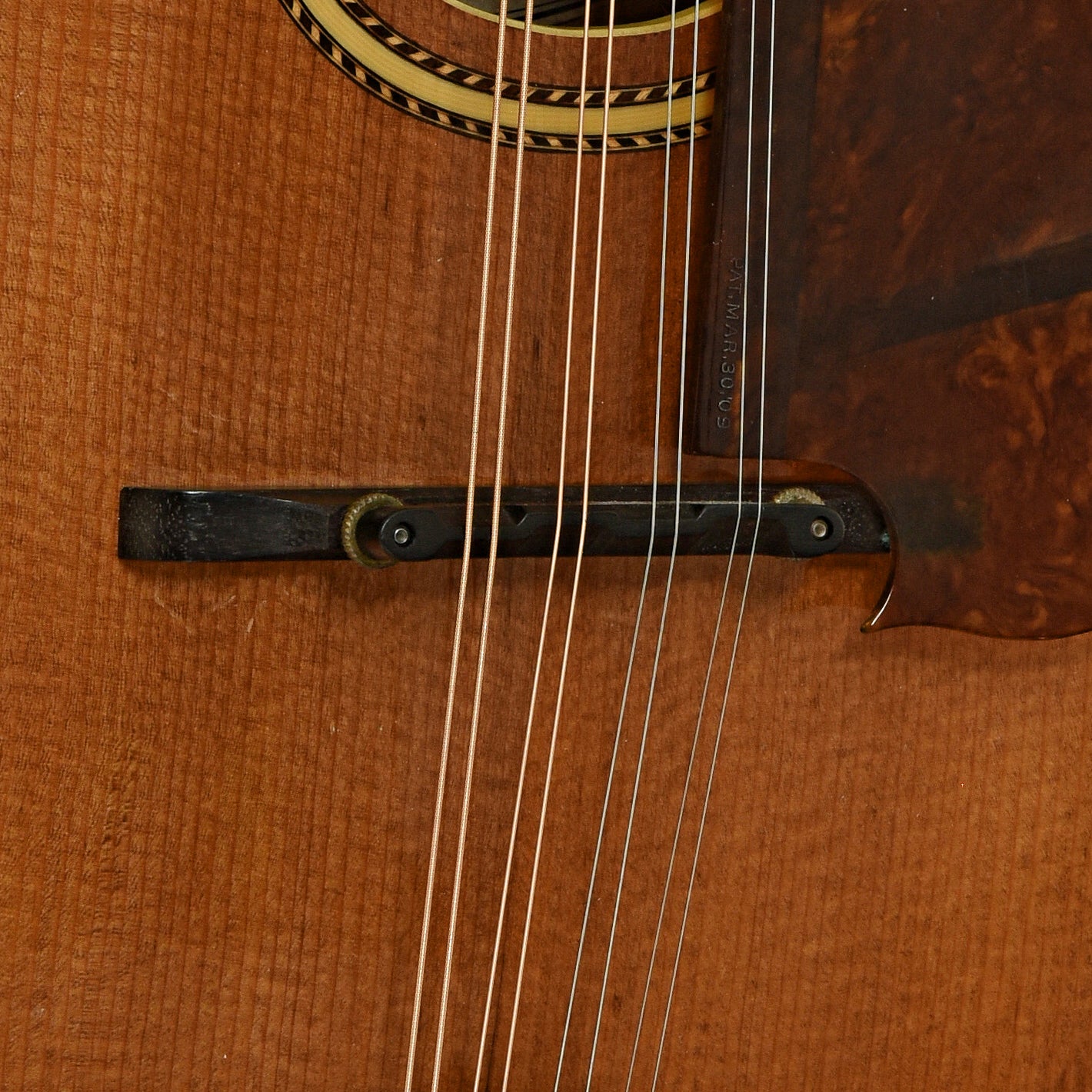 Bridge of Gibson A-4 Mandolin