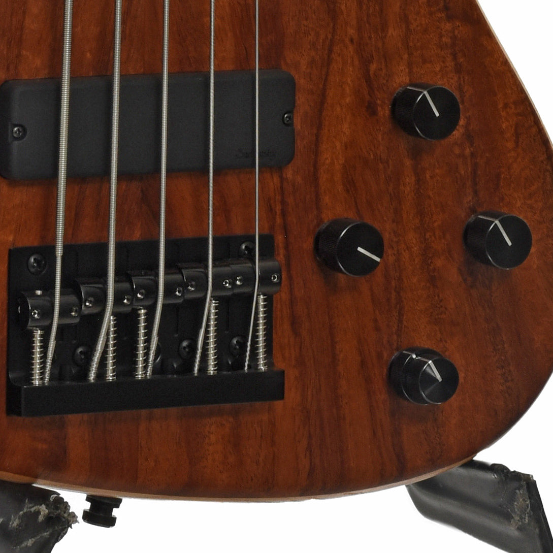 Bridge and controls of Sadowsky MetroLine 5-String LTD Electric Bass