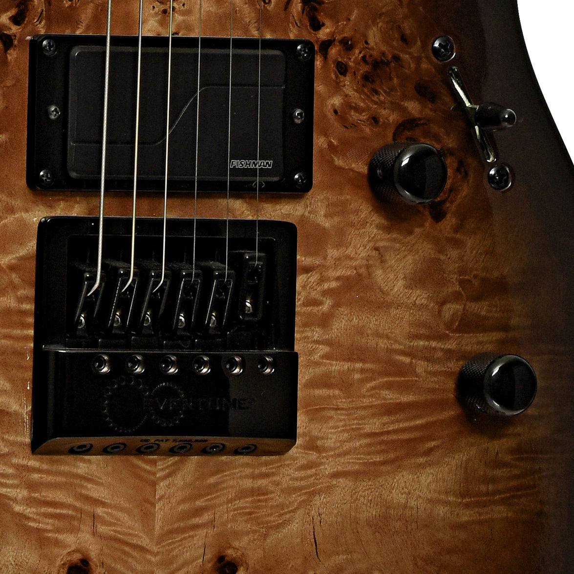 Bridge of ESP LTD TE-1000 Evertune Electric Guitar