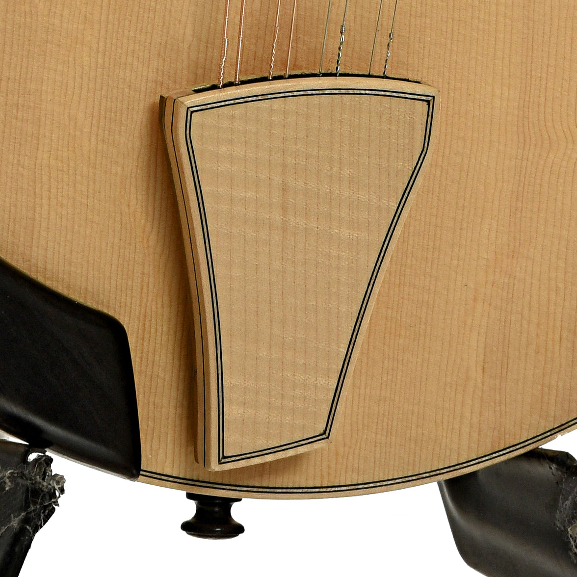 Tailpiece of Martino Quintavalla F-Jazz Mandolin