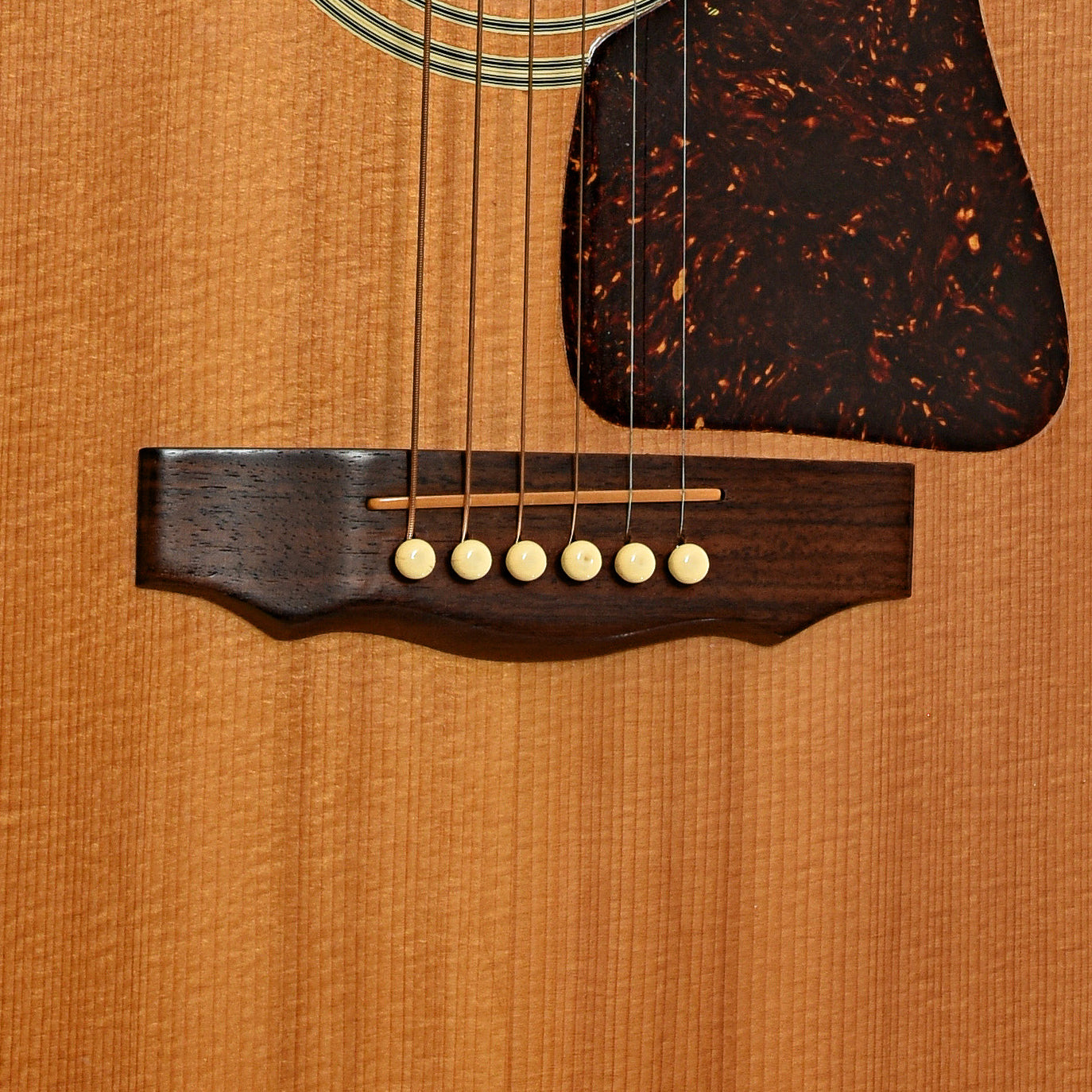 Bridge of Guild D25 NT Acoustic Guitar 