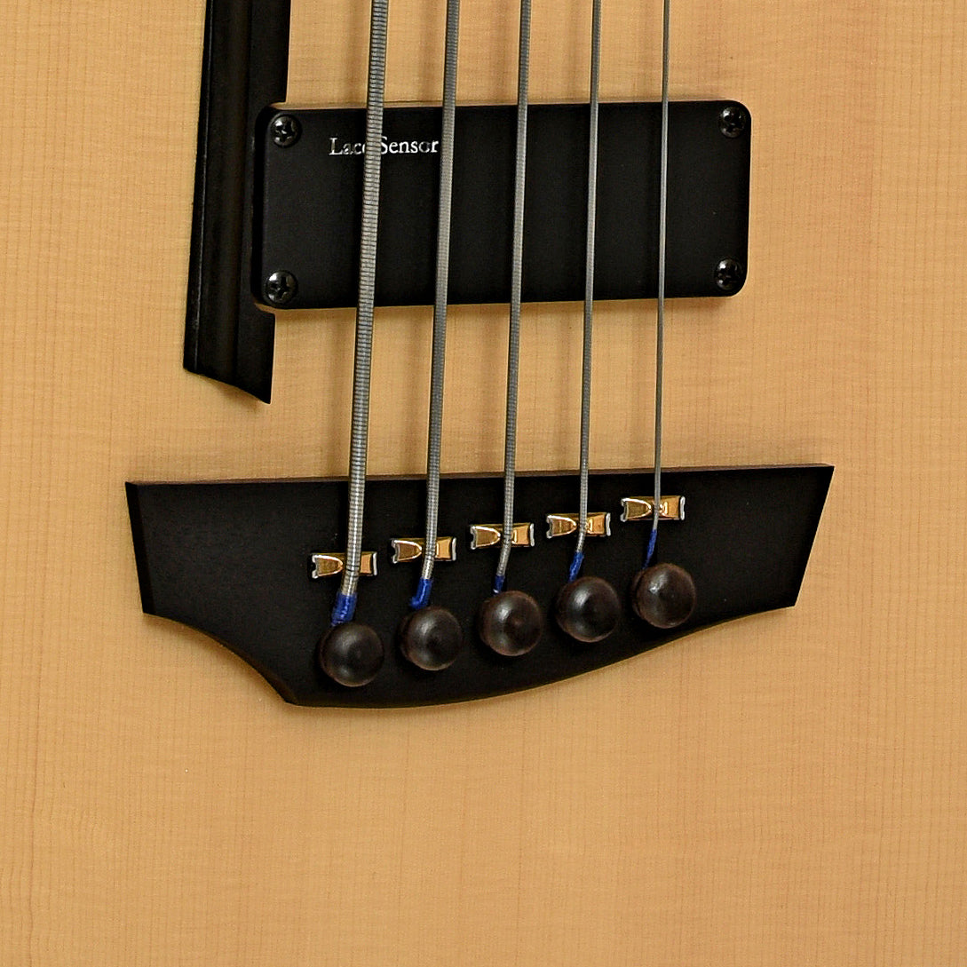 Bridge of Godin A5 Ultra Fretless 5-String Acoustic-Electric Bass