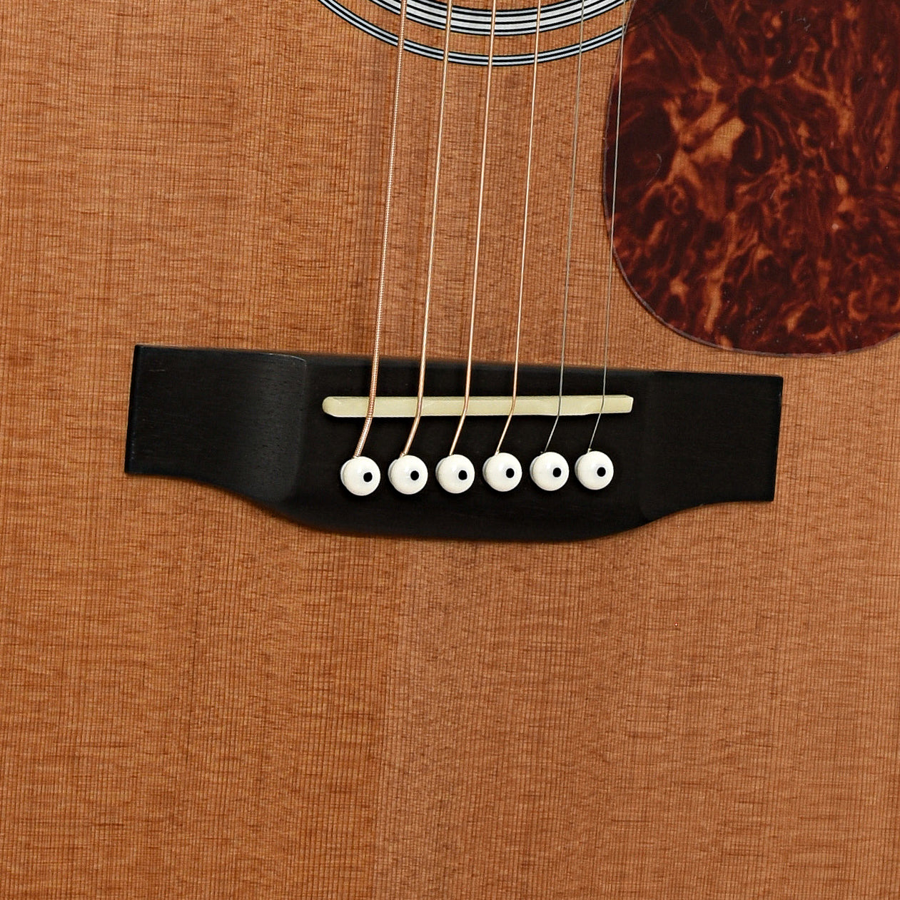 Bridge of Bristol by Blueridge BL-160 Deluxe Series Dreadnought Acoustic Guitar 