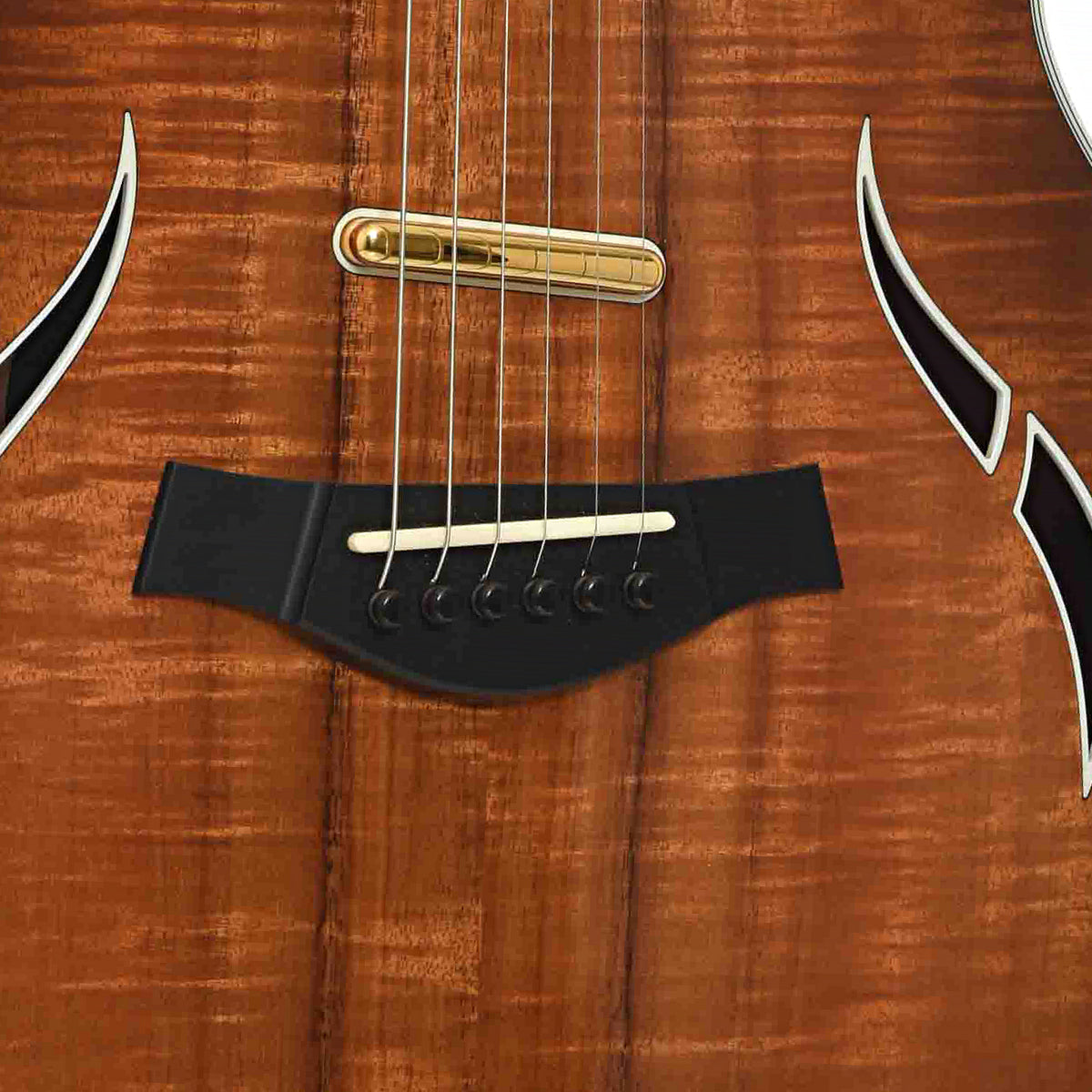 Bridge of Taylor T5C2 Koa Custom
