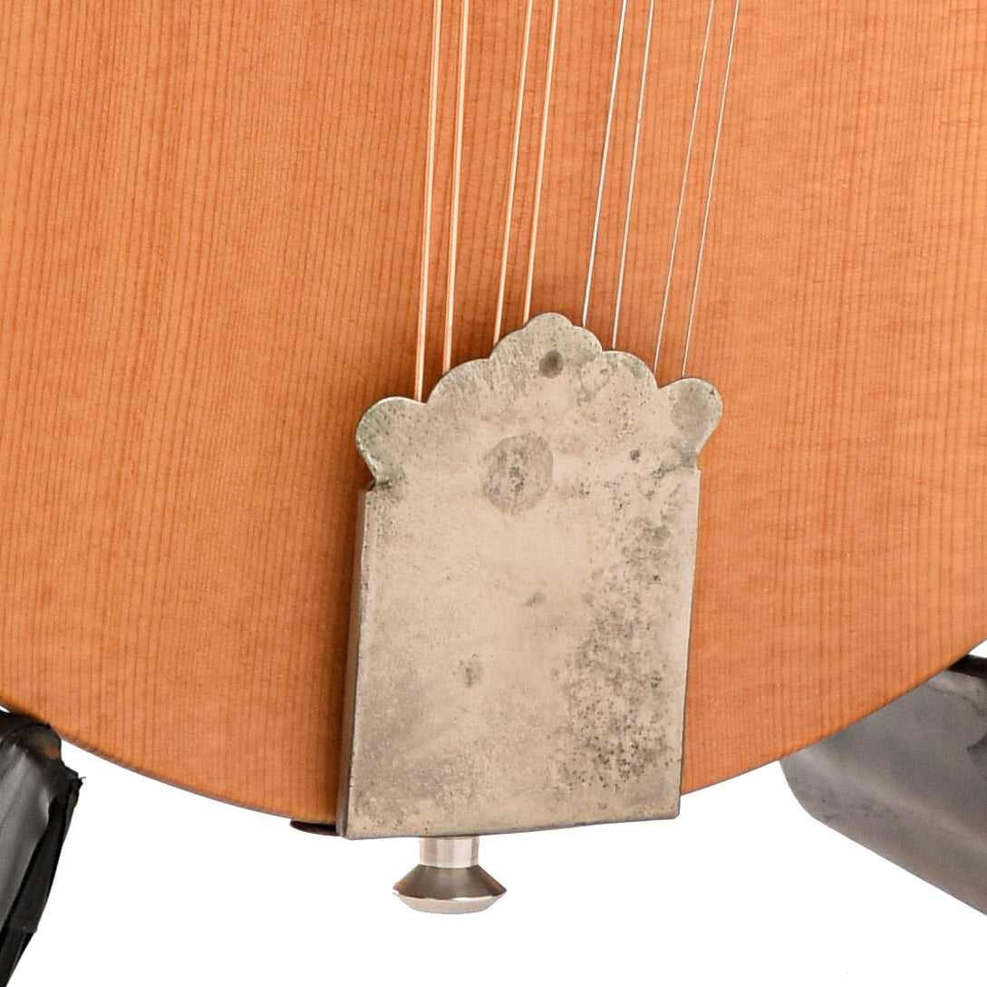 Tailpiece of Breedlove Quartz Mandolin (c. 1998)