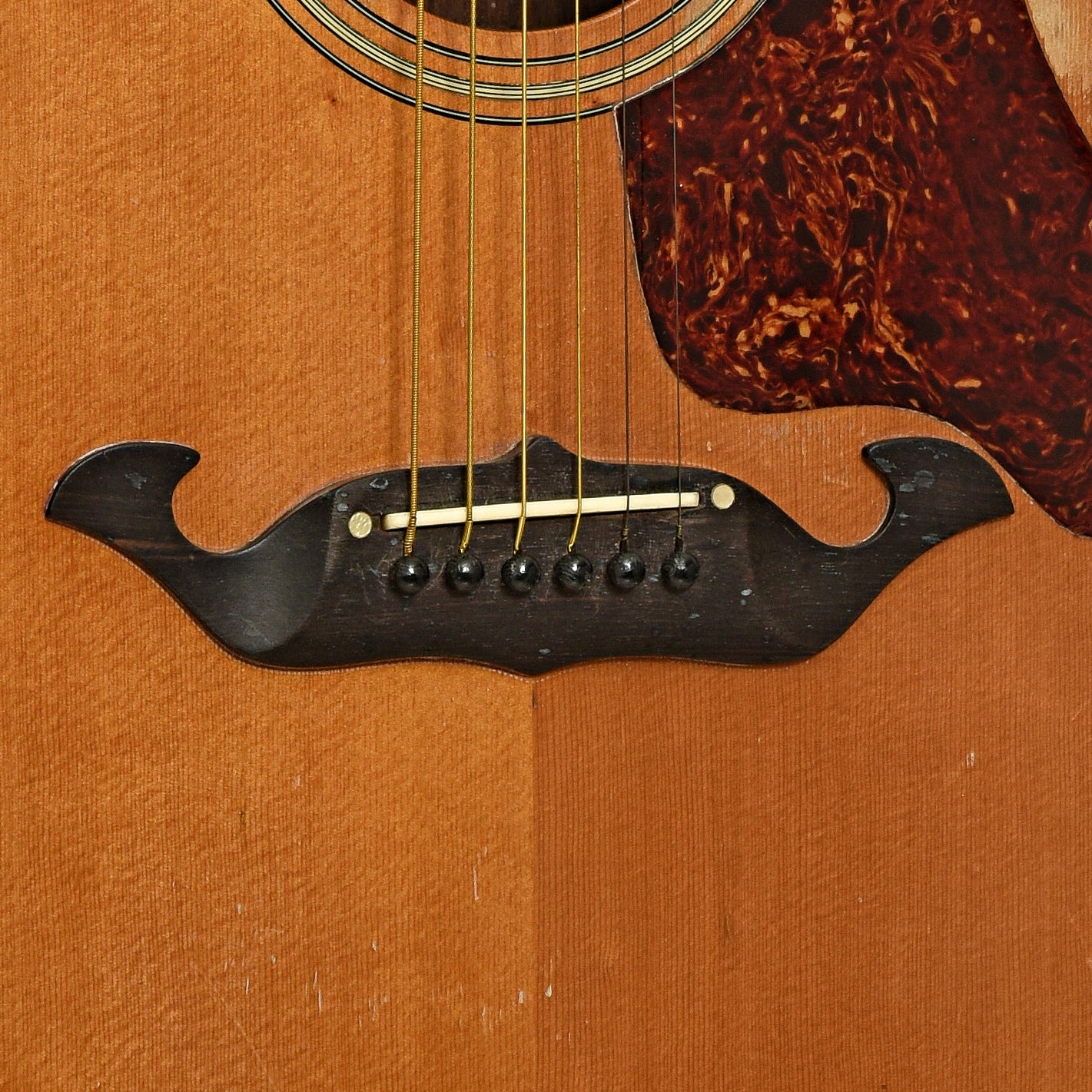 Bridge of Taylor 715 Jumbo Acoustic Guitar