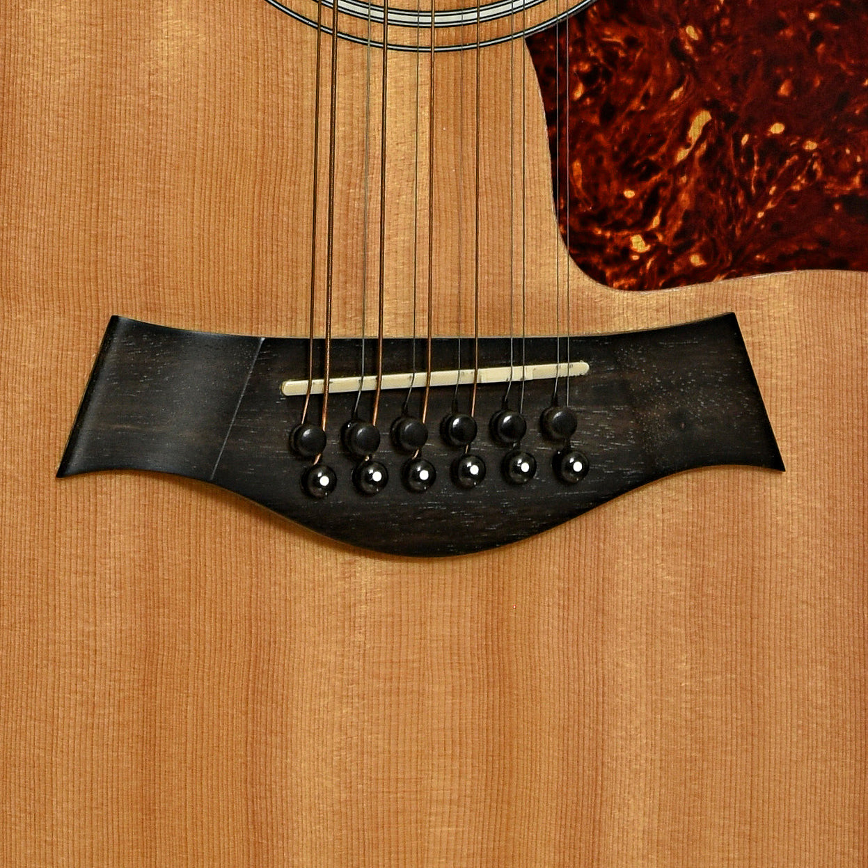 Bridge of Taylor 355 12-String Acoustic Guitar