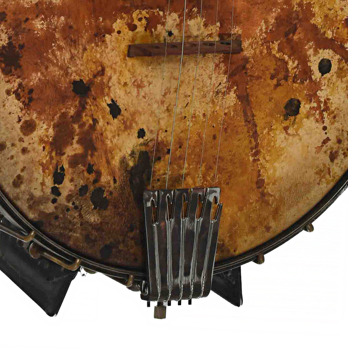 Mulheron The Appalachian 12 in. Openback Banjo (2024)