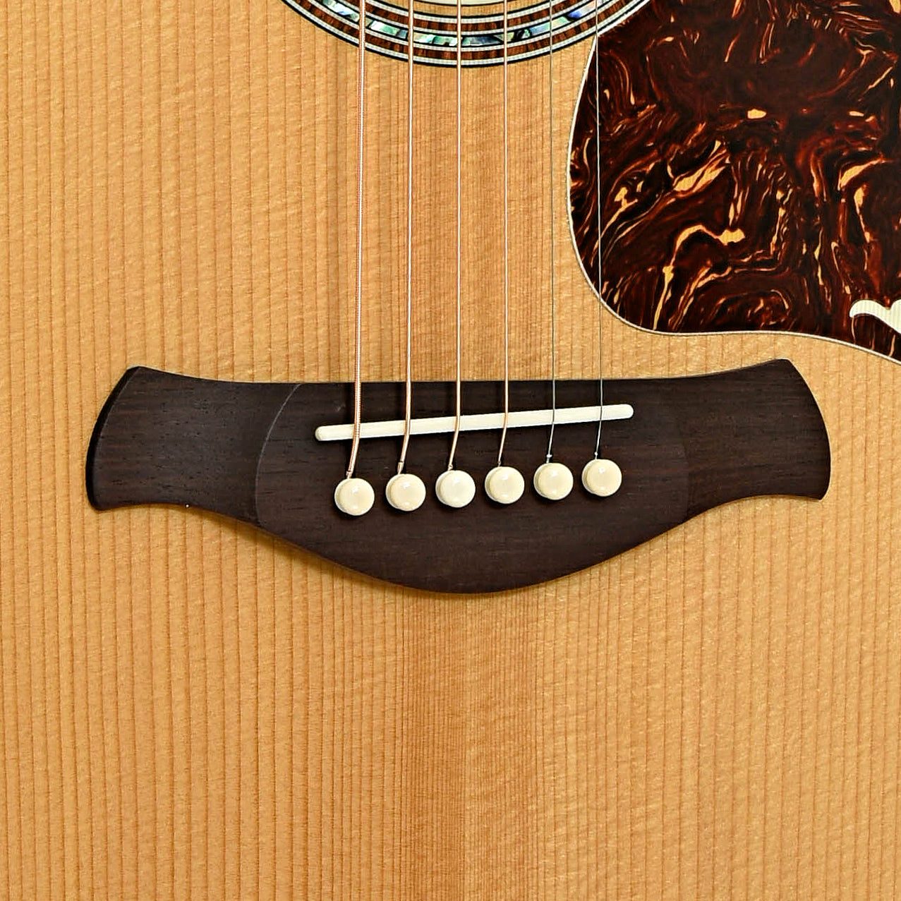 Bridge of Taylor Gold Label 814e Acoustic Guitar