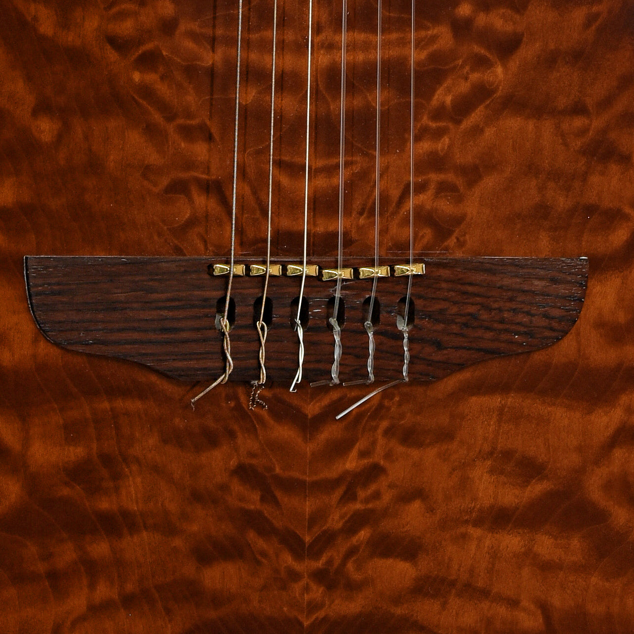 Bridge of Godin Multiac ACS SA Nylon-String Electric Guitar 