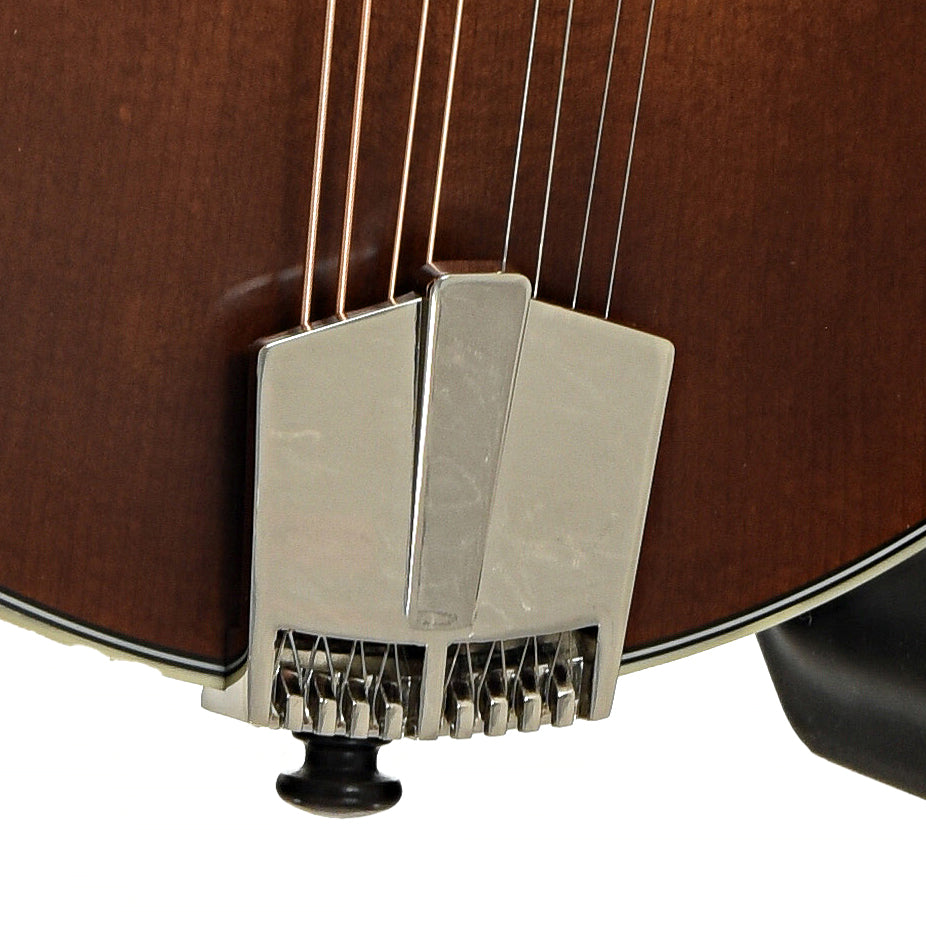 Tailpiece of Eastman MD315 Adirondack Wide Neck Amberburst Mandolin