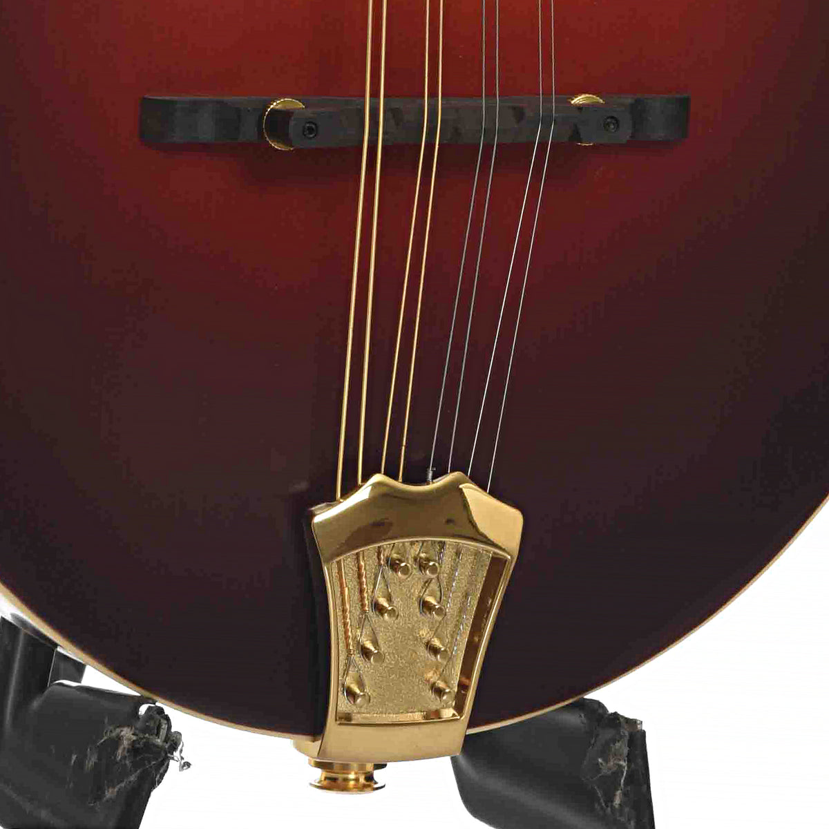 Bridge & Tailpiece of Gold Tone Mastertone GM-80 F-Style Mandolin