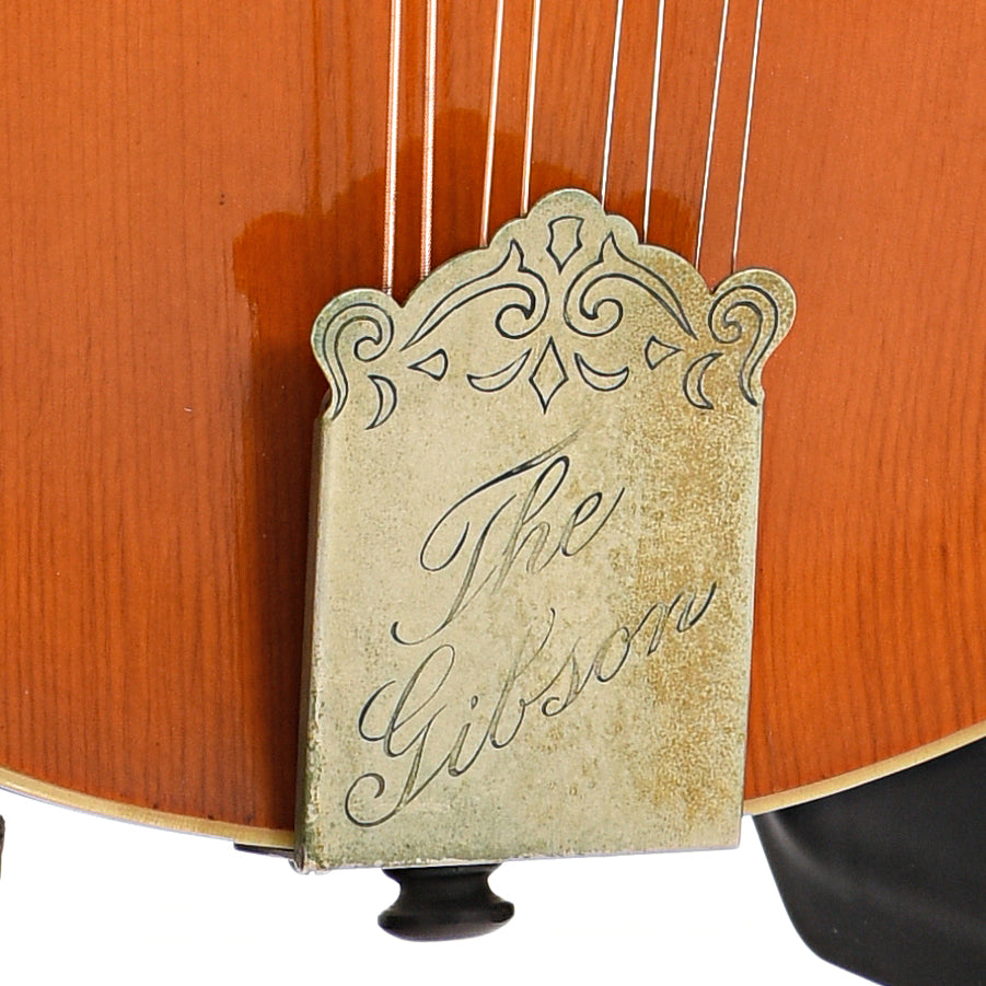 tailpiece of Gibson A-1 Mandolin
