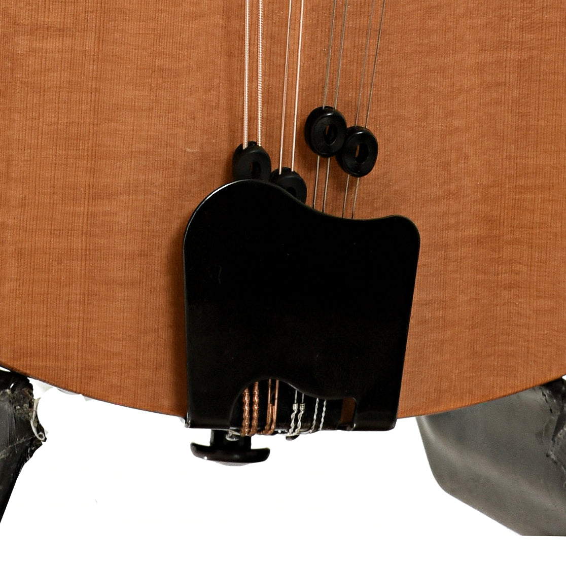 Tacoma M-1 Mandolin (1999) – Elderly Instruments