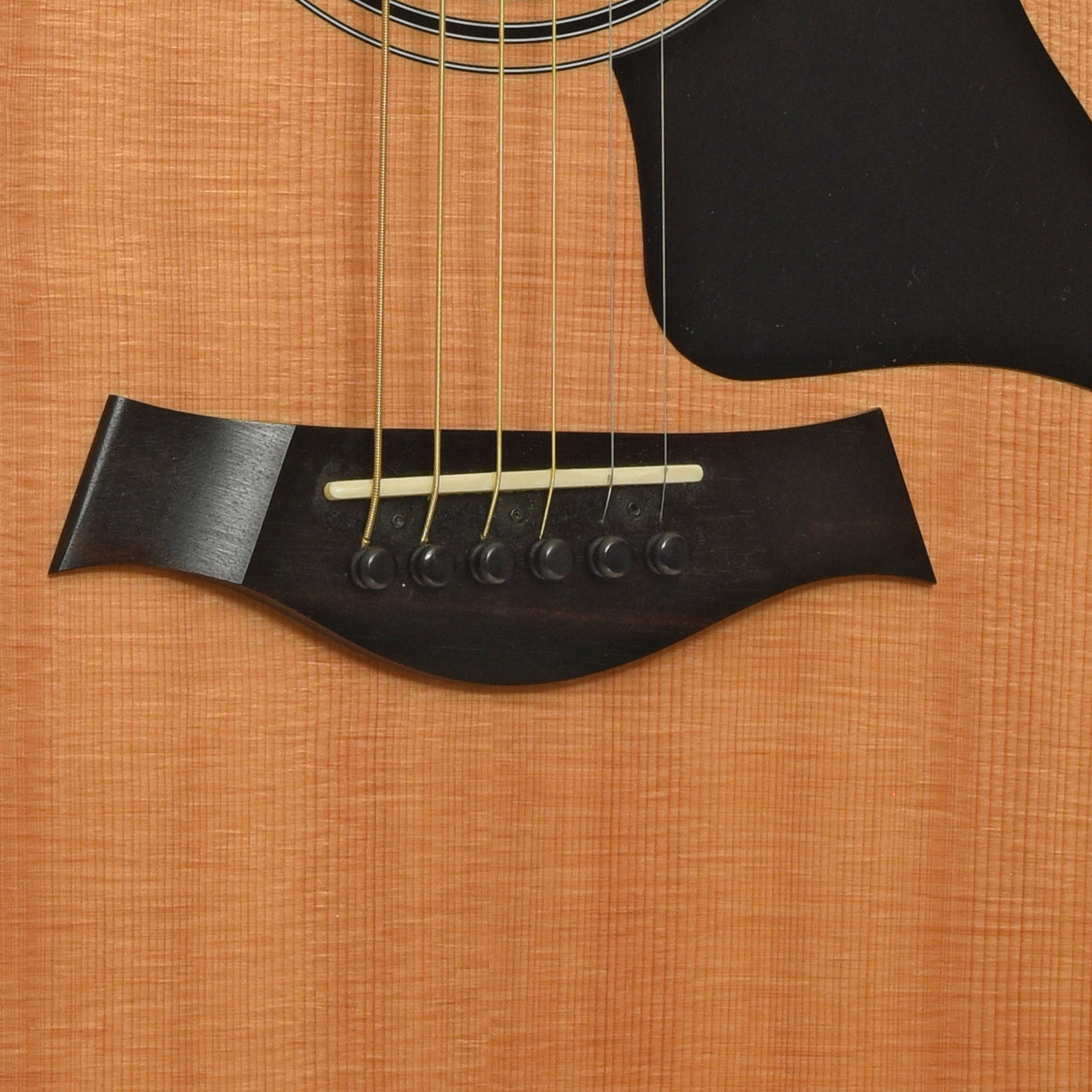 Bridge of Taylor 314ce Acoustic-Electric Guitar