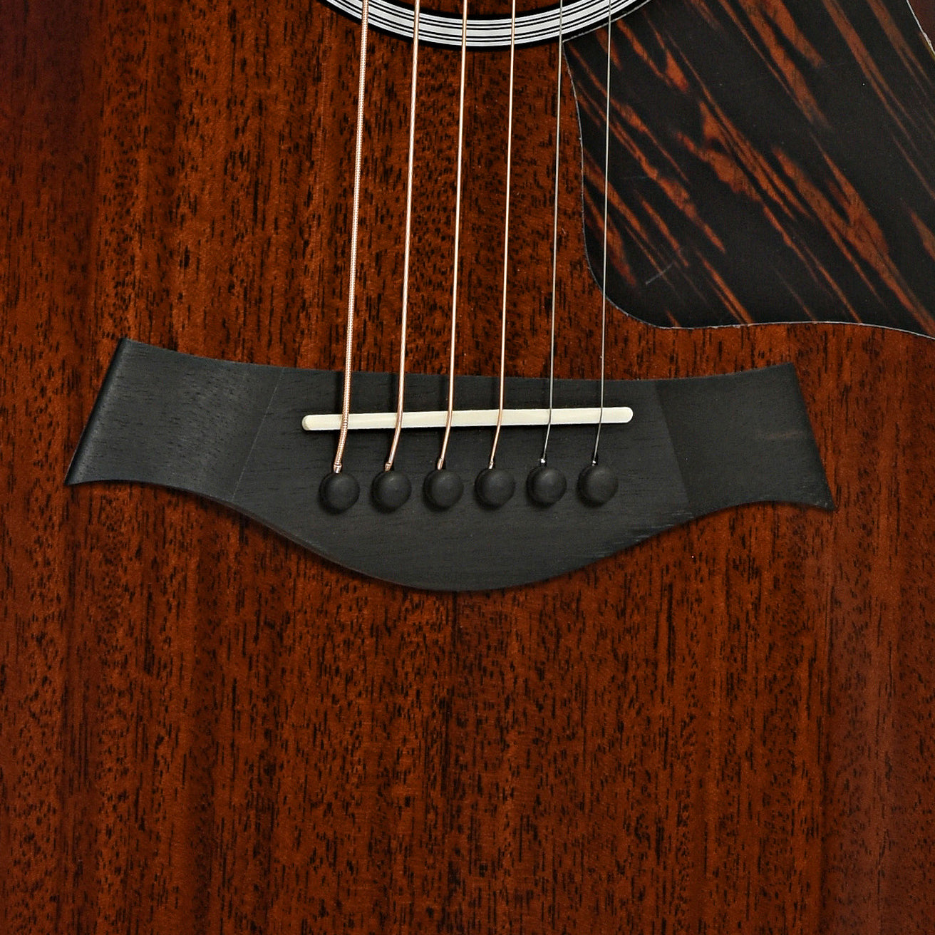 Bridge of Taylor Next Generation 324ce Acoustic Guitar