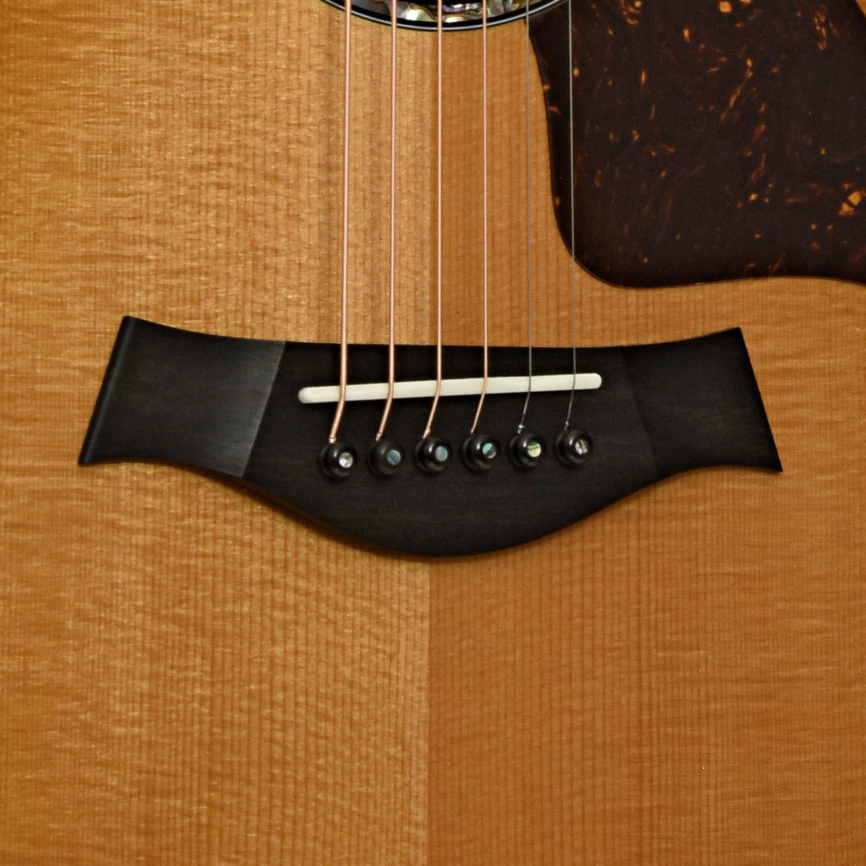 Bridge of Taylor Next Generation 614ce Acoustic-Electric Guitar