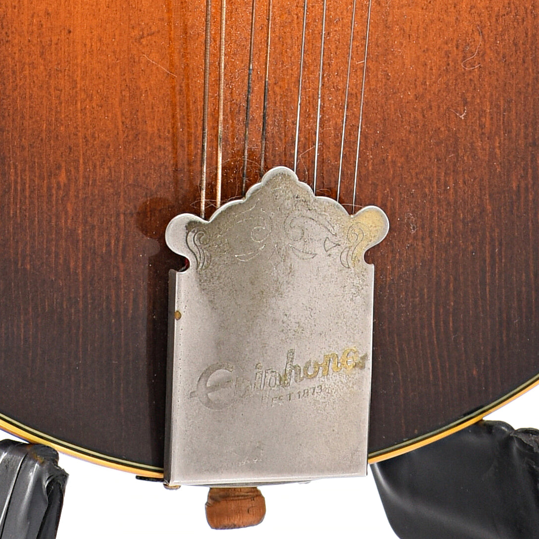 Tailpiece of Epiphone M-70 Mandolin