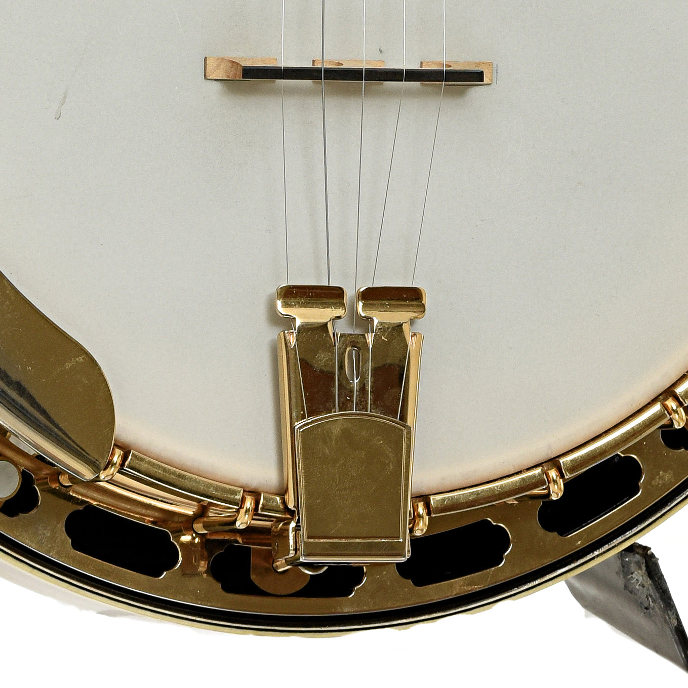 Tailpiece of Grundy Flintriver "Blue Heeler" Resonator Banjo 