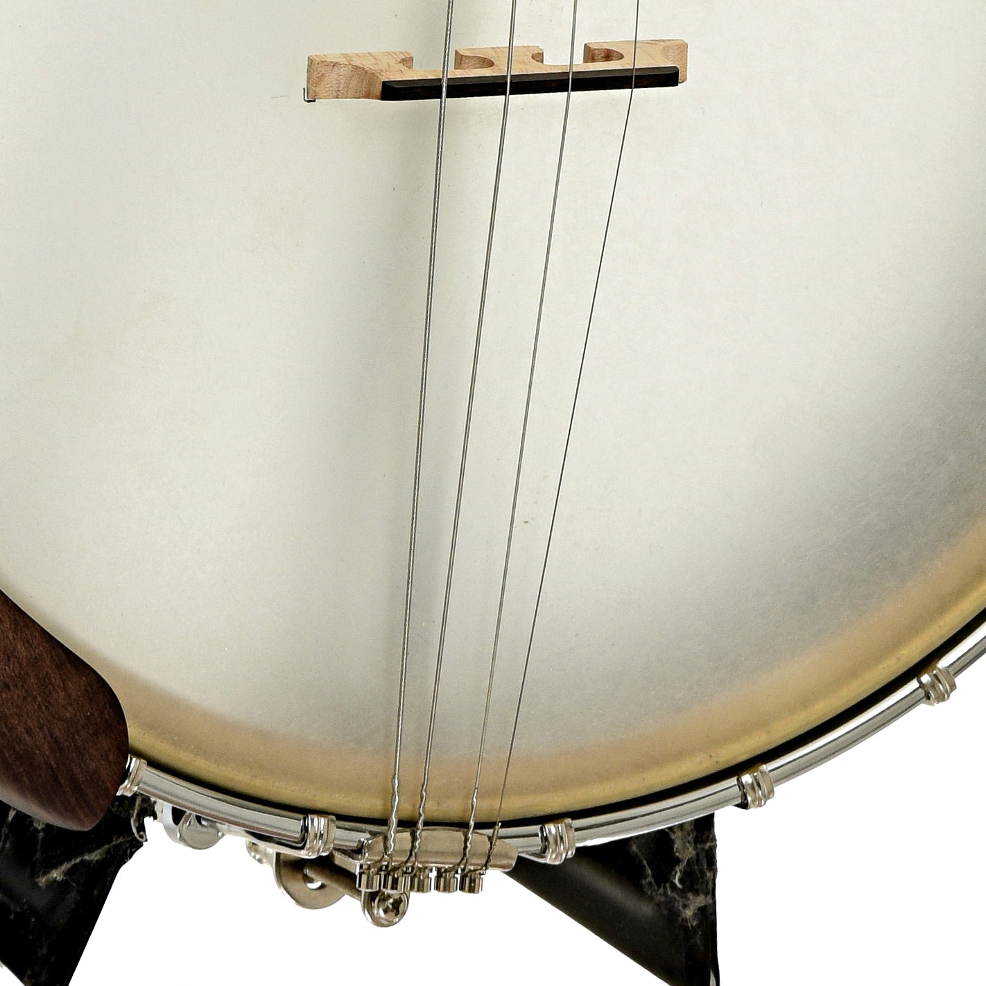Bridge of Gold Tone Irish Tenor Banjo 