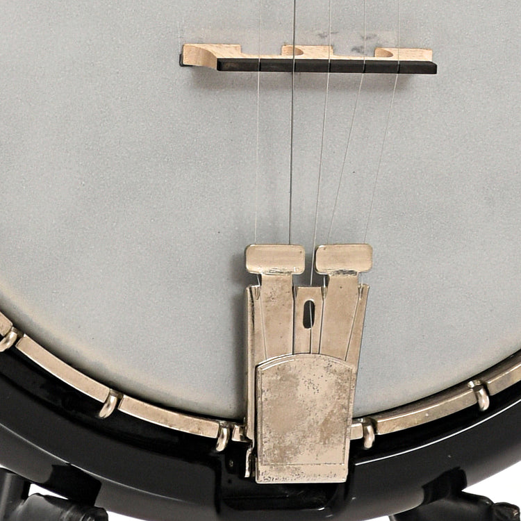 Bridge and tailpiece of Deering Crossfire Electric Banjo