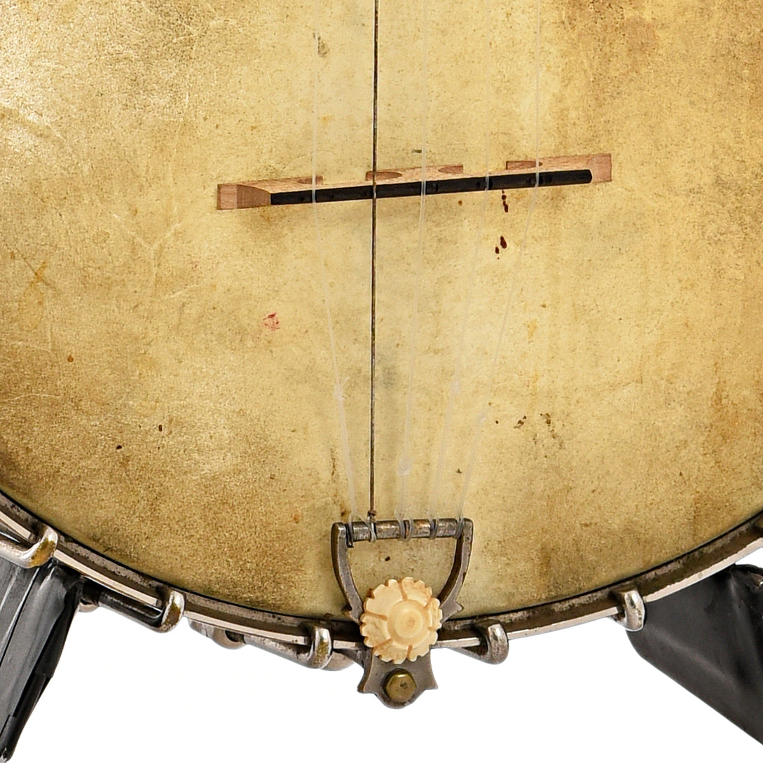 Tailpiece and bridge of S.S. Stewart Special Thoroughbred Open Back Banjo (c.1890)