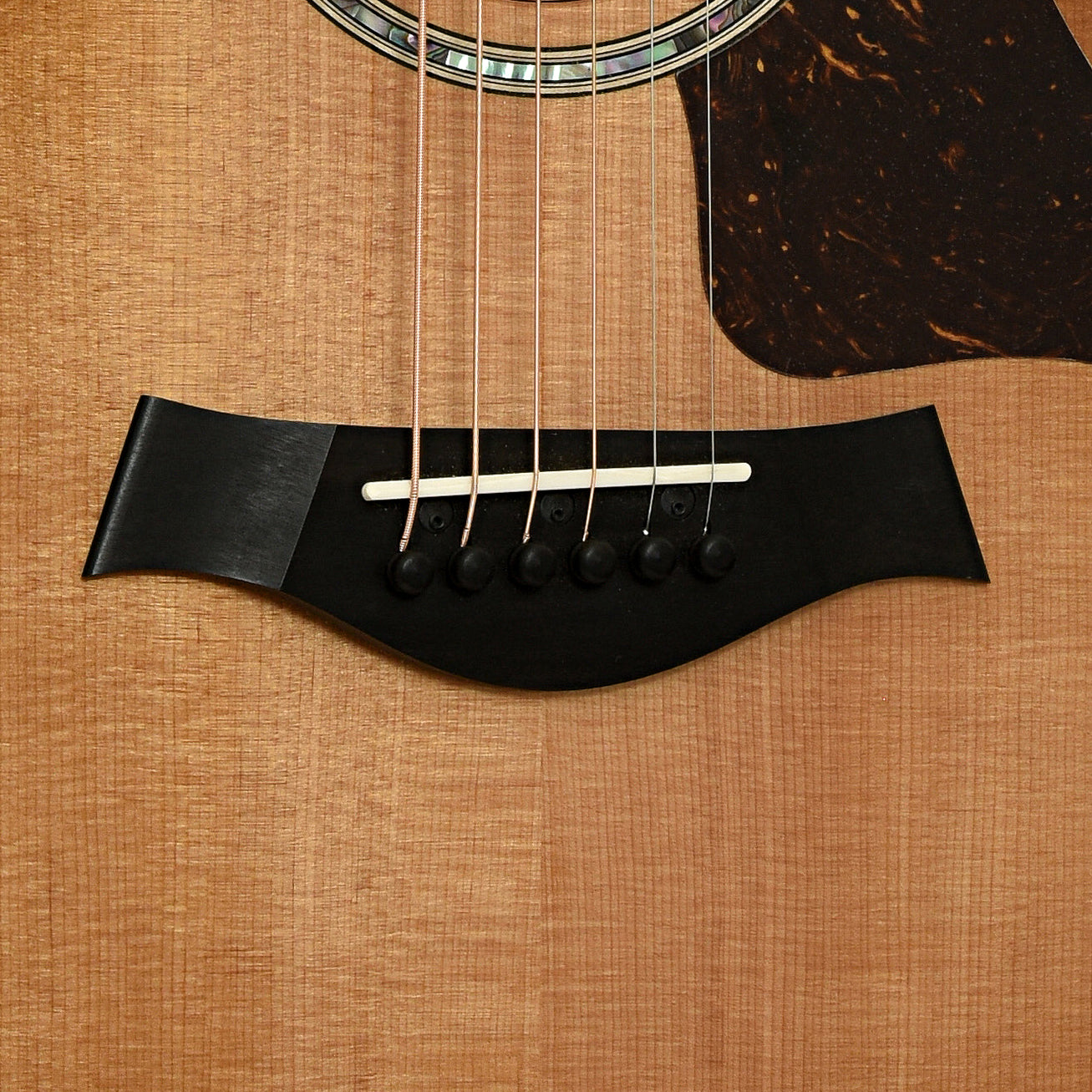 Bridge of Taylor 512CE Acoustic Guitar 