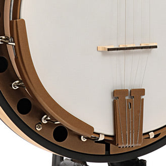 Tailpiece, armrest and bridge of Deering Goodtime Special Deco Resonator Banjo