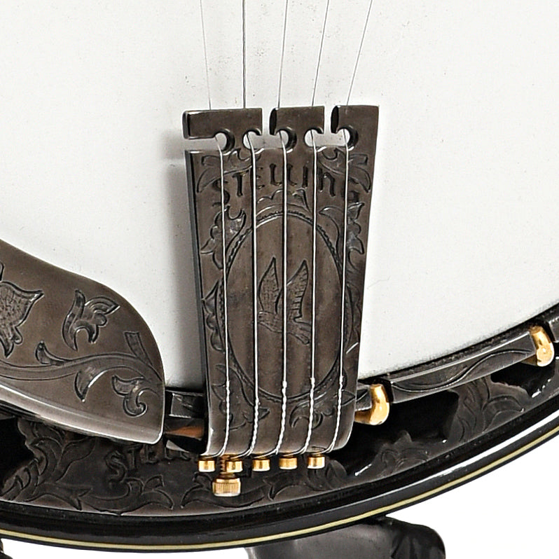 Tailpiece of Stelling Tree of Life Custom Resonator Banjo