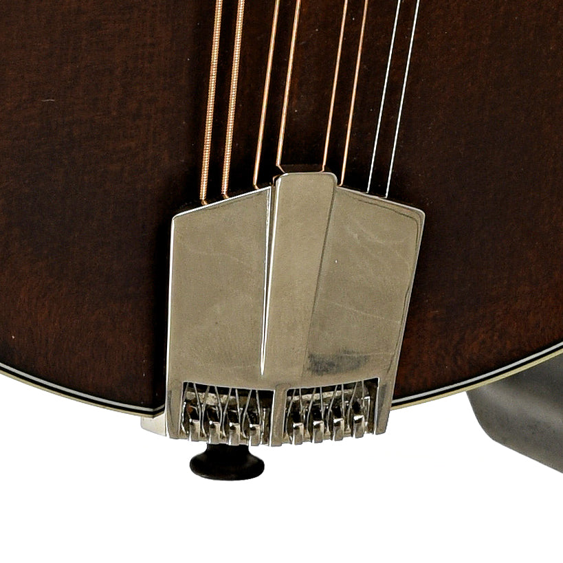 Tailpiece of Eastman MDA315 Mandola