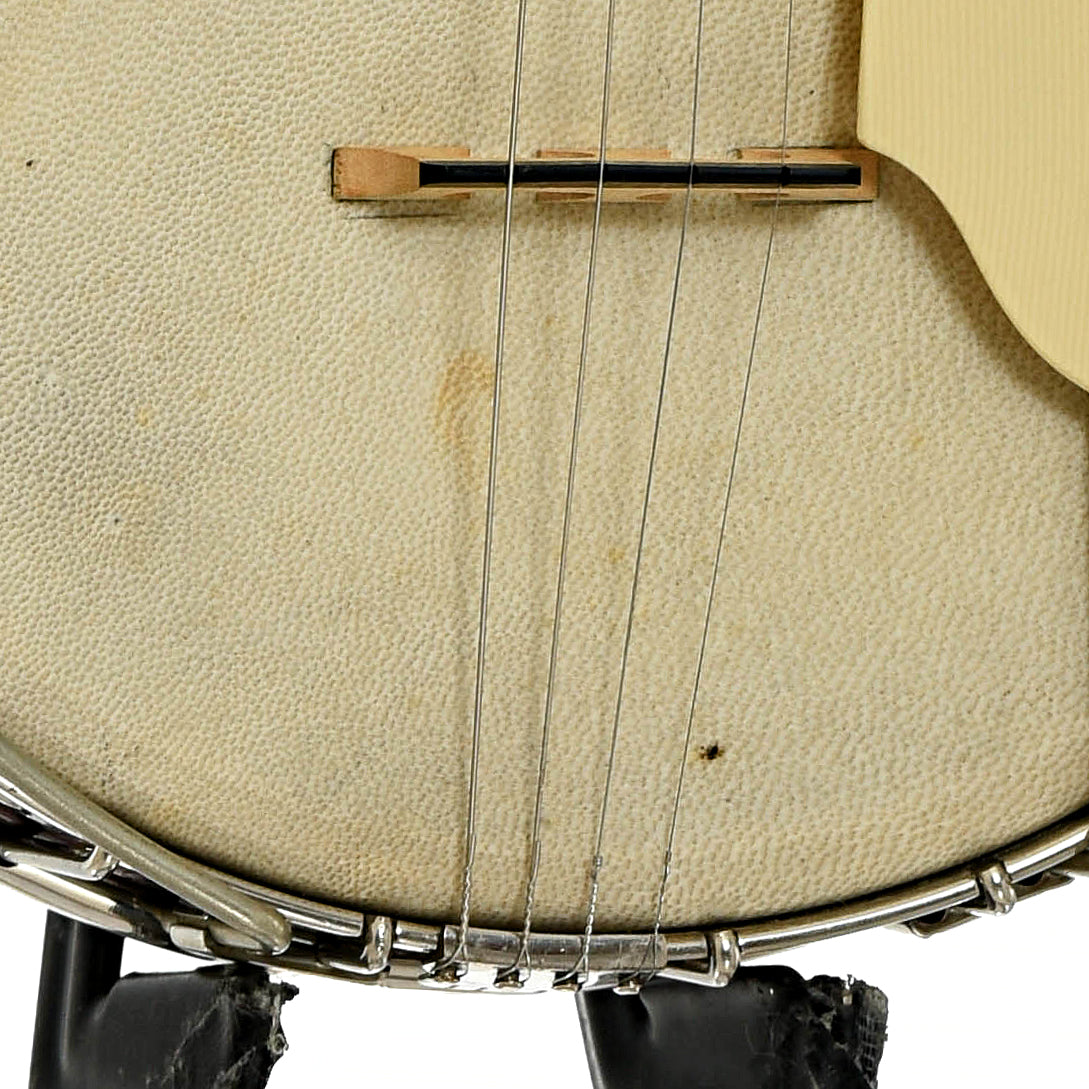 Bridge of Gibson TB Tenor Banjo