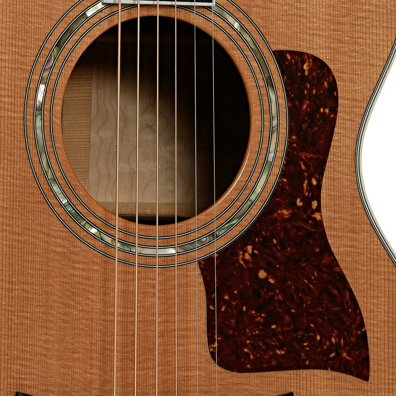 Soundhole of Taylor 612-C Acoustic Guitar