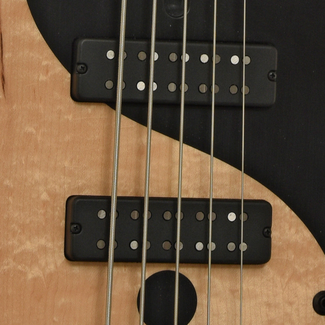 Pickups of Fodera Yin Yang Standard Blister Maple 5-String Electric Bass
