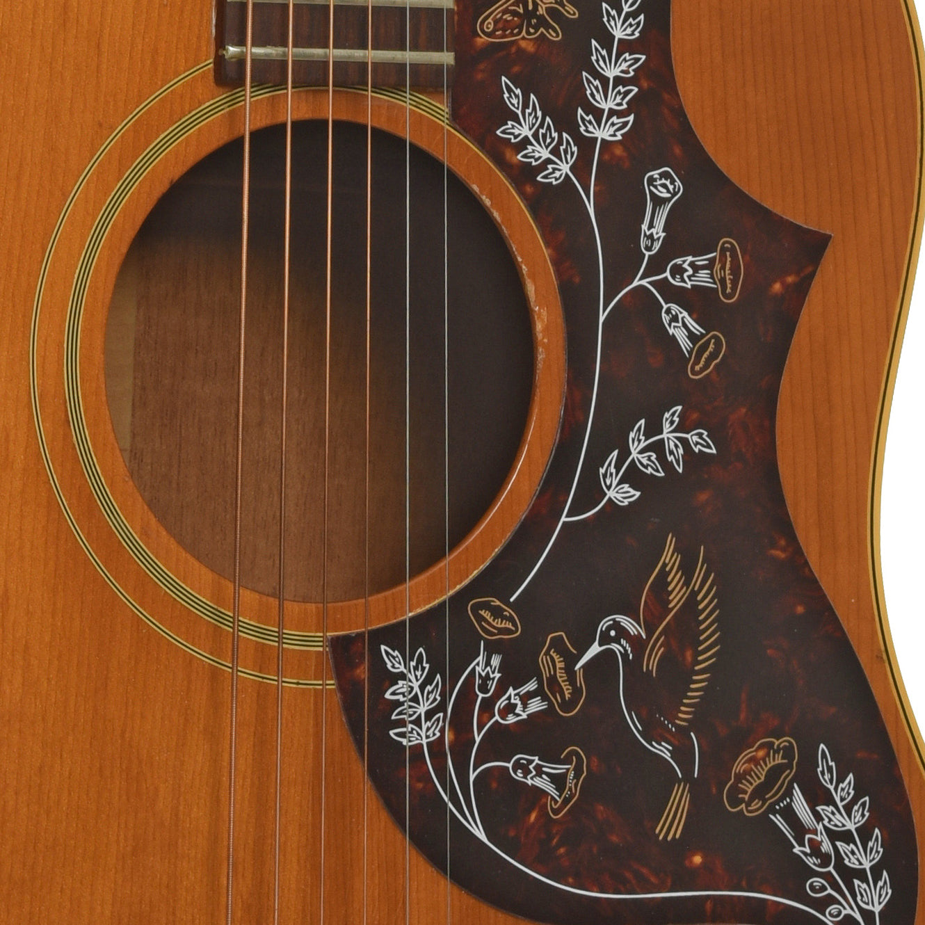 Soundhole of Gibson J-50 ADJ Acoustic Guitar